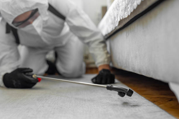 Professional Termite Control technician working in Paris, TX