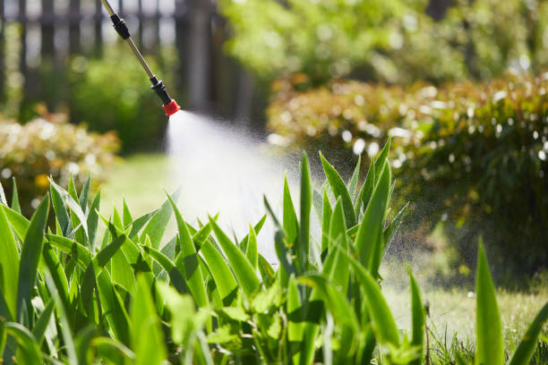 24/7 Emergency Termite Control experts in Paris, TX