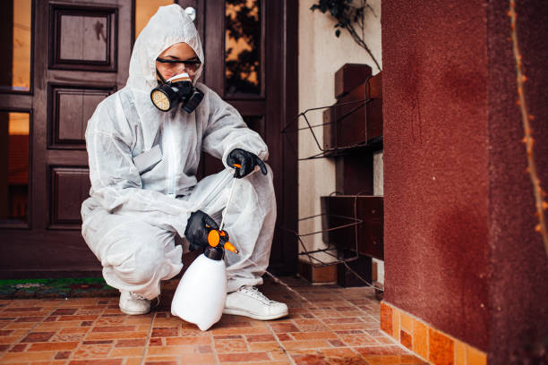 Reliable Termite Control contractor in Paris, TX by Nex Pest Control